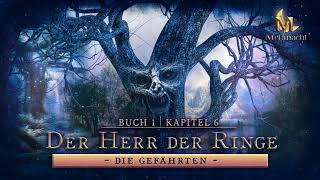 Der Herr der Ringe Die Gefährten  Buch 1 Kapitel 6  Hörbuch  Zusammenfassung [upl. by Asillam]