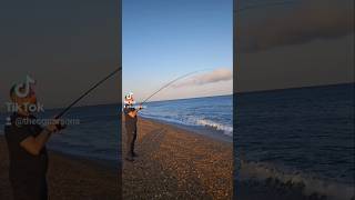 Chesil Beach  Catch amp Cook [upl. by Nemajneb]