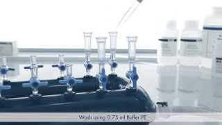 Protocol Plasmid DNA Purification using the QIAprep Spin Miniprep Kit and a Vacuum Manifold [upl. by Anahpets409]