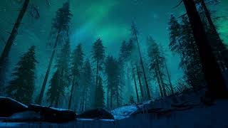 Aurora Forest Live Wallpaper 4k [upl. by Burkhard]