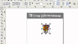 crop bitmap in corelDRAW [upl. by Anirod]