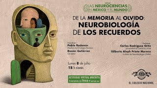 De la memoria al olvido neurobiología de los recuerdos [upl. by Eyssej]