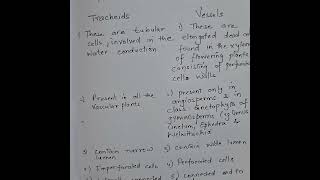 Differences between tracheids and vessels trachearyelements [upl. by Liew]