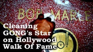 BOB MARLEY THE GONGs STAR SHINES BRIGHT LIKE SIRIUS Ghetto Muzik TV Global Rock [upl. by Iyre]