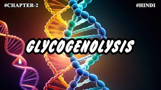 Chapter 2  Metabolism Of Carbohydrates Part7  Glycogenolysis [upl. by Enail]