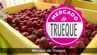 CONOCE EL MERCADO DE TRUEQUE  SEDEMA CDMX UnaNuevaCultura [upl. by Nary336]