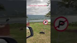 My home lake  Inanda dam🇿🇦 viral bassfishing fishtok fishinglife largemouthbass fishing [upl. by Sello]