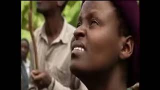 Taking Root The Vision of Wangari Maathai  Independent Lens  PBS [upl. by Aid]