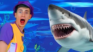 Sharks in the Water 🦈 amp Draw Me Song  MORE  Funny Songs [upl. by Laurie959]