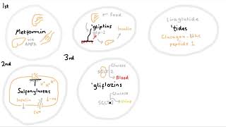 Diabetes Medications [upl. by Nodnnarb]