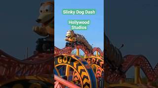 Ride Slinky Dog Dash at Disneys Hollywood Studios [upl. by Allesig606]