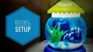 EASIEST WAY TO SET YOUR BOWL AQUARIUM  LIGHT SETUP 💡💡 [upl. by Ariait89]