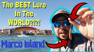 Marco Island Florida Fishing Using The Best Lure In The WORLD [upl. by Nomyar]