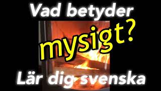 Vad betyder mysigt  Lär dig svenska  Learn Swedish  100 undertexter [upl. by Almeda]