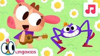 ITSY BITSY SPIDER 🕷️🏠 Nursery Rhymes  Lingokids [upl. by Adran971]