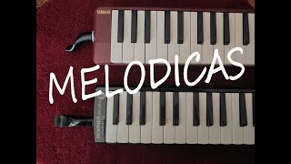 Melodicas Comparison  Yamaha P37D vs Hohner Student 32 [upl. by Ahsienauq148]