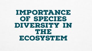 IMPORTANCE OF SPECIES DIVERSITY IN THE ECOSYSTEM [upl. by Ahsekan899]