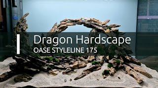 Dramatický Hardscape s Dragon stone a Dragon wood wwwshrimpsk [upl. by Weisburgh]