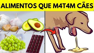 18 alimentos Comuns FATAIS para seu Cachorro [upl. by Zaraf]