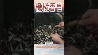 纯天然橄榄香皂为何流传了140年之久？ 科普 橄欖油 香皂 [upl. by Pathe479]