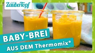 Selbstgemachter Babybrei aus dem Thermomix® So EINFACH gehts 😍 [upl. by Berg906]