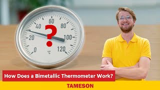 How Does a Bimetallic Thermometer Work  Tameson [upl. by Gnouhc]