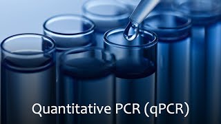 Quantitative Polymerase Chain Reaction qPCR [upl. by Anthia]