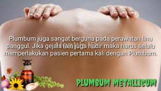 Plumbum Metallicum  Homeopathy Materia Medica Indonesia [upl. by Nimrac]