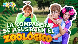 La Compañera y Meme se portan mal en el ZOOLÓGICO  Meme asusta a la Compañera  La Compañera llora [upl. by Jadwiga969]