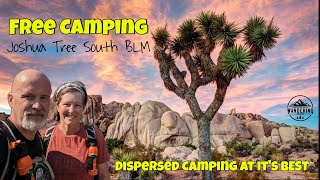 Free Camping Joshua Tree National Park Review of Dispersed Camping on BLM Land Joshua Tree South [upl. by Anegal635]