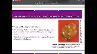 Odontogenic cyst 2  Dr Maymana Shawaqfeh [upl. by Sinnal]