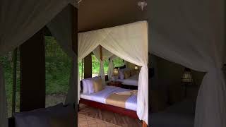 Standard Tent Double  Single Bed Tent Reel Mara Kimana Luxury Camp [upl. by Ayit]