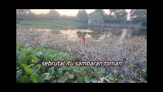 CASTING PREDATOR  SEBRUTAL ITU SAMBARANNYA [upl. by Kenward642]