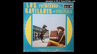 Los Tremendos Gavilanes  Polkas 1972 LP [upl. by Nicky]