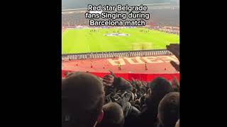 Red star Belgrade fans Singing Pta Barca during match against Barcelona [upl. by Ilsa]