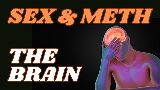 METH AND AND SEX ADDICTION PROVEN RECOVERY STRATEGIES  REWIRING THE BRAIN [upl. by Bernarr804]