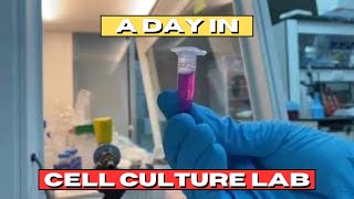 Seeding for MTT Assay  A DAY IN LAB  Episode 2 [upl. by Einnel]