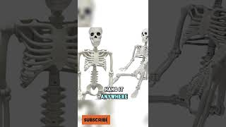 Skeleton Halloween Decorations Realistic Full Body Movable Posable Joints Skeleton dealsproducts [upl. by Eisnyl]