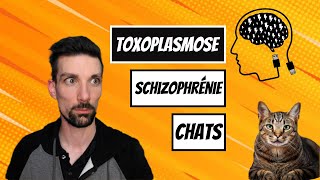 Toxoplasmose schizophrénie et chats  Anarchie en Psychiatrie [upl. by Rubin657]