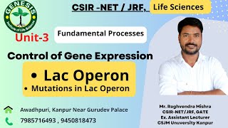 Mutations in Lac Operon  Control of Gene Expression In Prokaryotes  Lecture41 [upl. by Ereynihc]