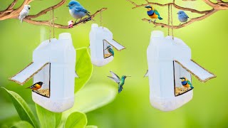 quotMake a Bird Feeder from a Plastic Bottle  Homemade Bird Feeder Tutorial [upl. by Ardnazil]