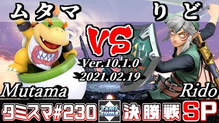 【スマブラSP】タミスマSP230 決勝戦 ムタマクッパJr VS りどリンク  オンライン大会 [upl. by Enert]