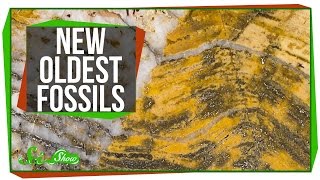 The Oldest Fossils Ever Found [upl. by Cara]