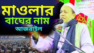 মাওলার বাঘের নাম হলোআজরাইল✓মৌলভী মোঃ শাহ আলম হুজুর টিয়াখালী [upl. by Flagler]