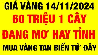 Giá vàng 9999 hôm nay  ngày 14122024  giá vàng hôm nay  giá vàng 9999  giá vàng 9999 mới nhất [upl. by Till920]