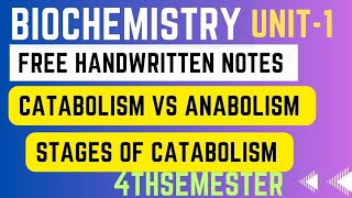 Overview of metabolism ll catabolism vs anabolism ll stages of catabolism ll anabolism ll catabolism [upl. by Annil]