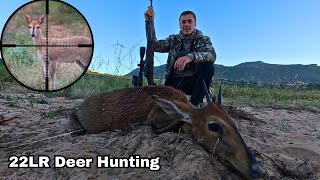 Deer Hunting with a 22LR Heart Shot [upl. by Eelarak]