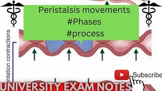 peristaltic movementsperistalsis movements physiologymedicoscontent3135 [upl. by Lebatsirc]