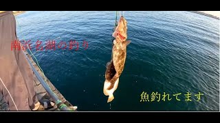 南浜名湖の釣り 魚釣れています [upl. by Arvell7]