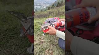 ASMR Portable Camping Gas Stove camping mointains outdoor [upl. by Nnylannej]